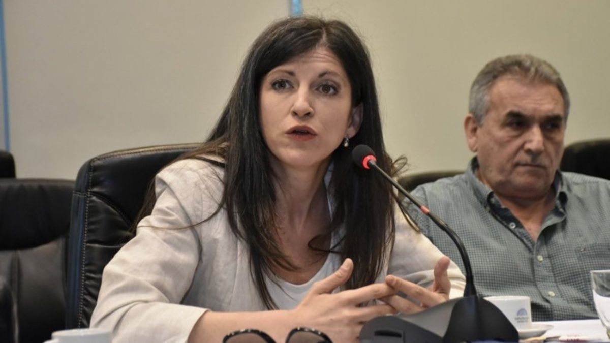 Aval para el proyecto que prohíbe ayuda estatal a empresas y personas con activos offshore