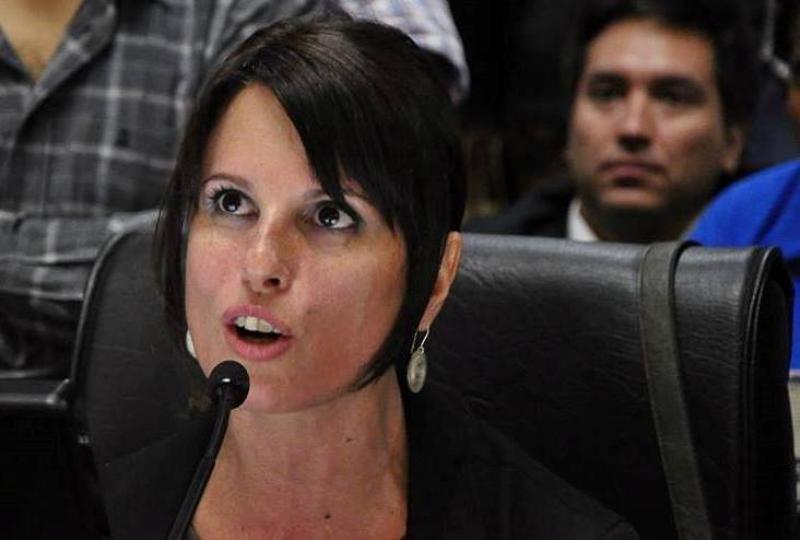 Pokoik: “La ministra Soledad Acuña nos miente"