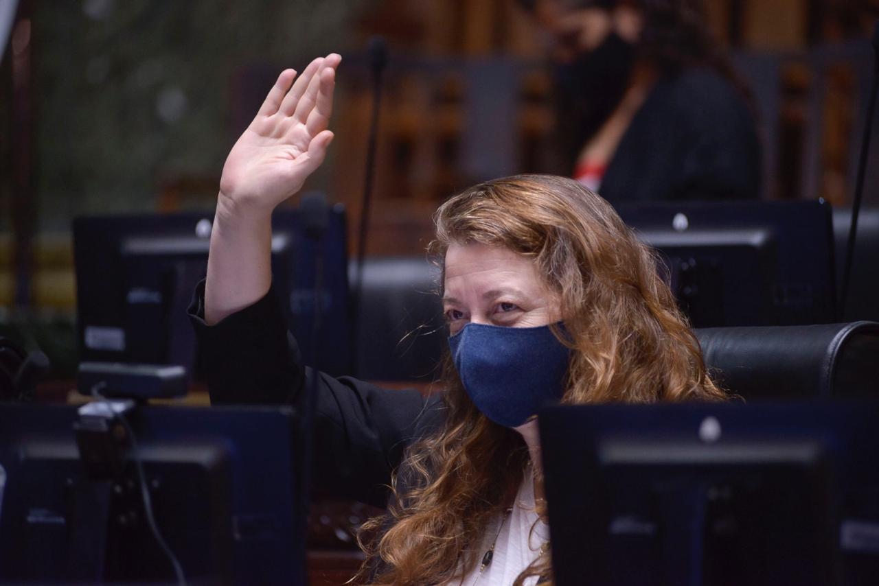 Muiños: "La ley del cannabis es de consenso y da respuestas a una necesidad"