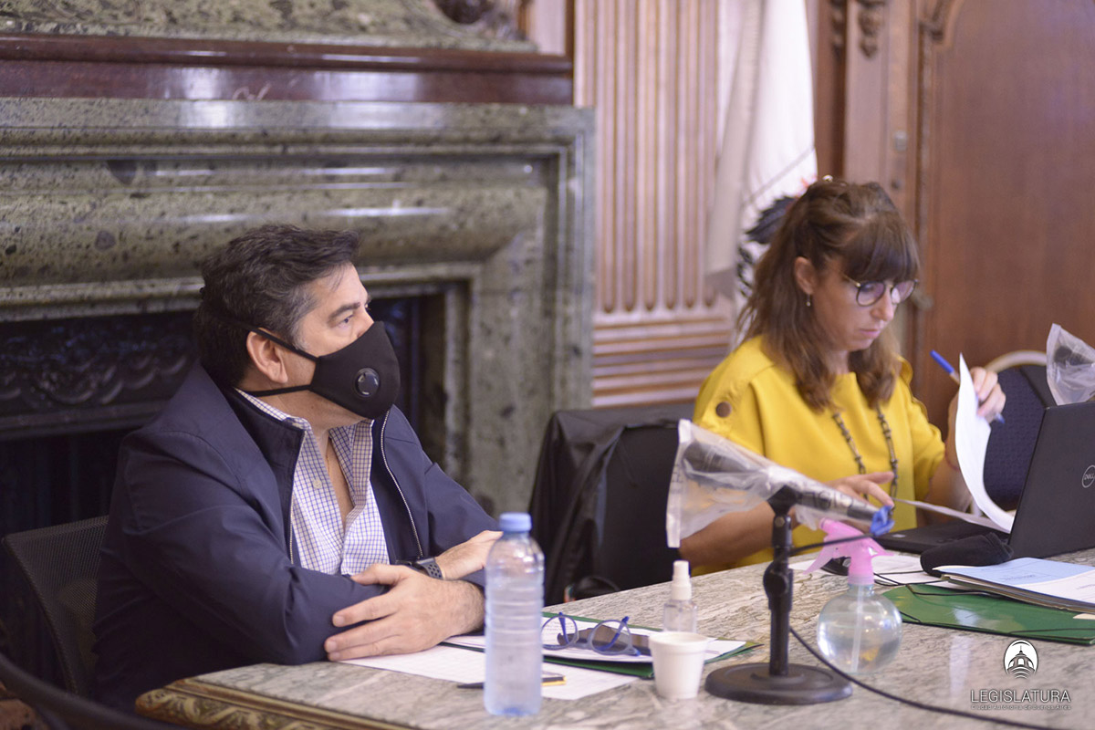 Legislatura: proponen el uso de garajes para carga y descarga