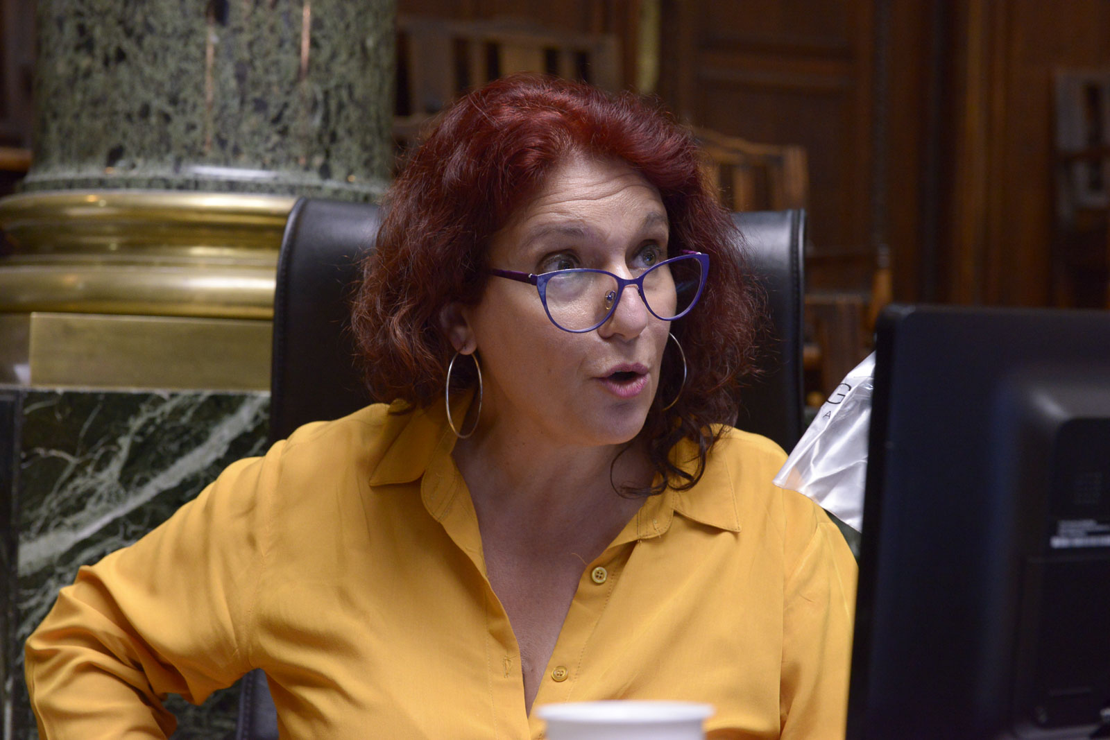 Velasco: “Esta ley es un enorme logro de las organizaciones populares”