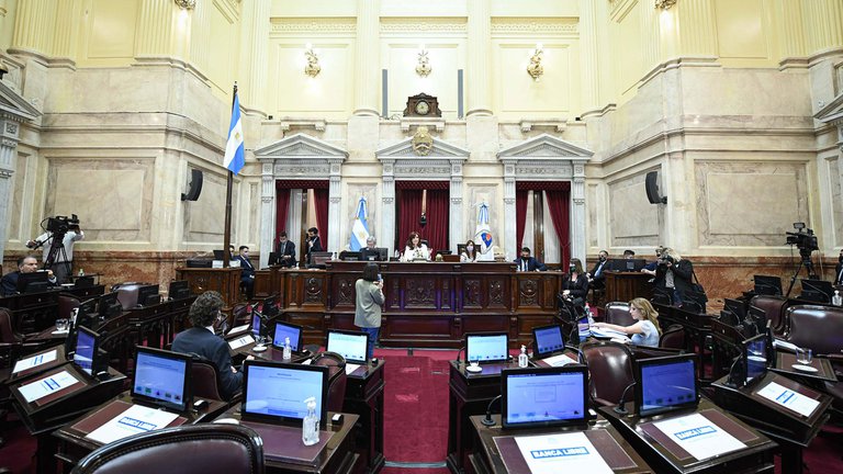 Senado: el FdT y sus aliados aprobaron el impuesto a las grandes riquezas