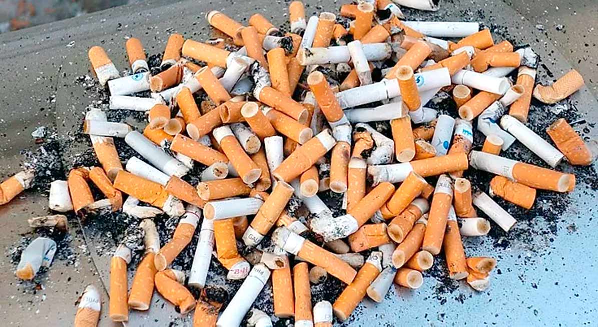 Macchiavelli: "Para un cambio radical, todos debemos tomar conciencia"