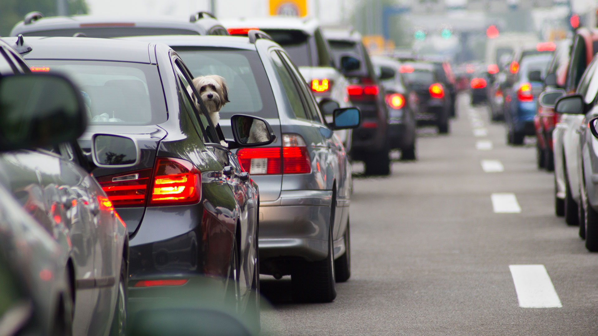 Hasta 100% de aumento en las patentes de la Ciudad