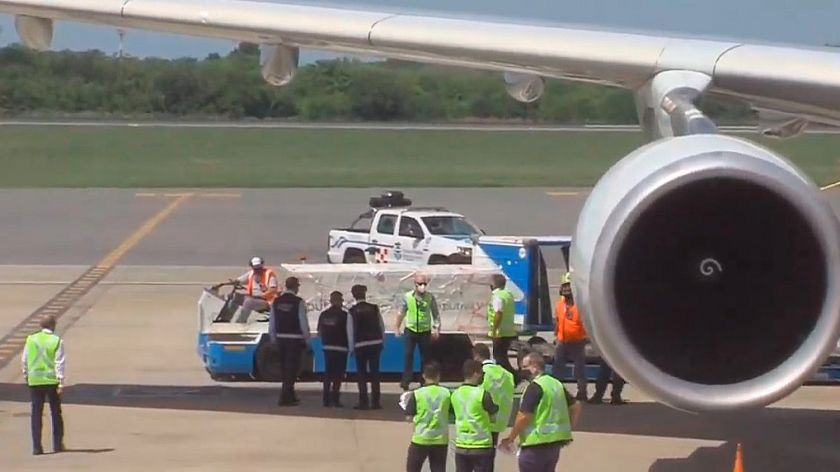 Ya llegaron al país las 300 nuevas dosis de la vacuna rusa Sputnik V