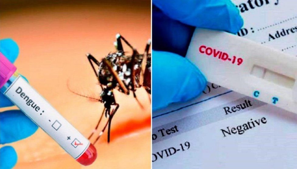 Alarma: qué es el "coronadengue" y cómo se contagia