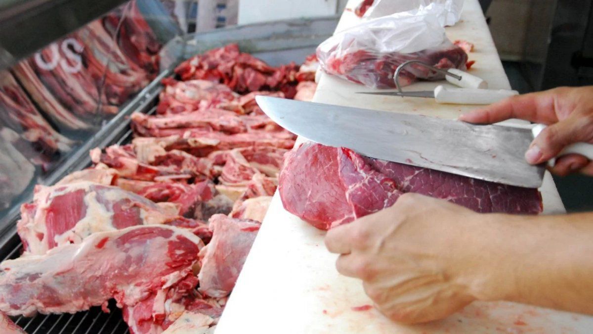 Exportaciones en rojo: fuerte caída de embarques de carne vacuna en noviembre