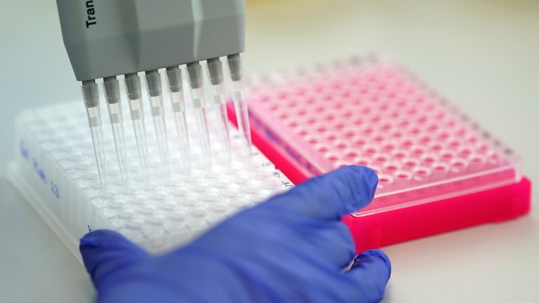 Las cepas de Inglaterra, Brasil y Estados Unidos ya circulan en Argentina