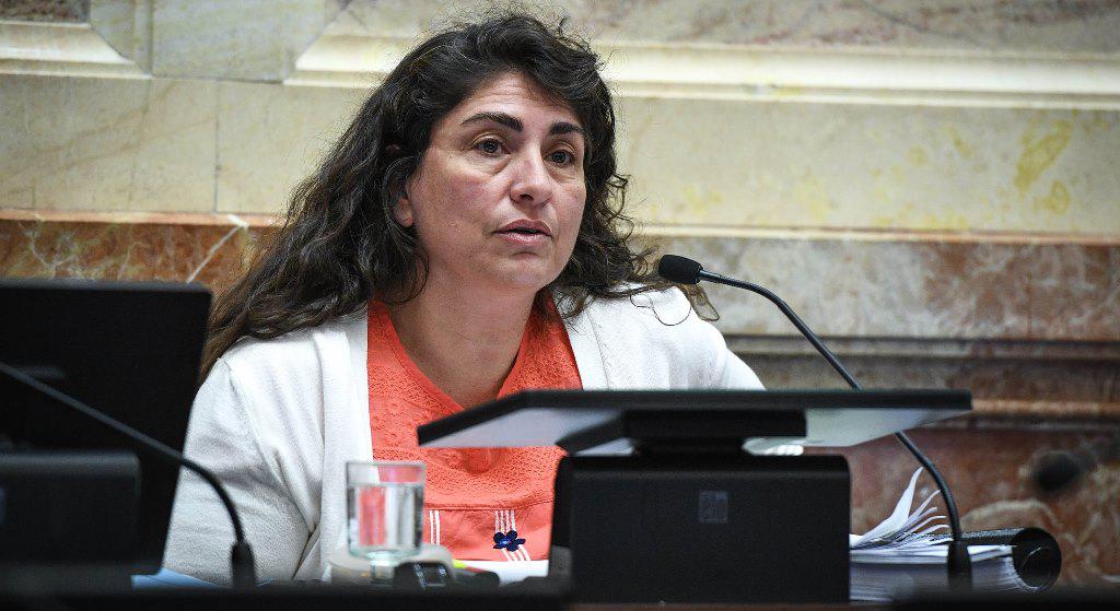 Senado: qué busca el proyecto de Emergencia Turística