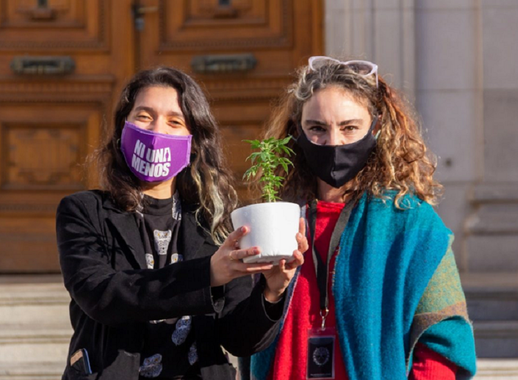 Género y cannabis: la marihuana es feminista