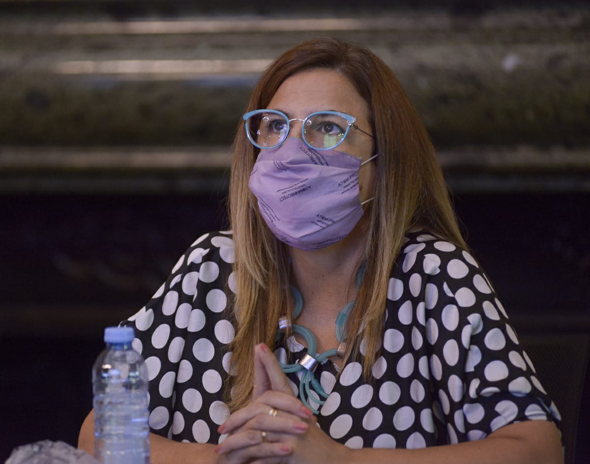 Neira solicitó en la Legislatura que se cumplan los controles del DNU