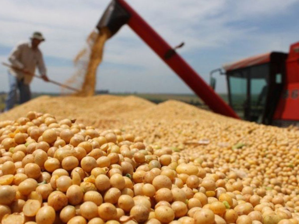 El precio de la soja superó la barrera de los 600 dólares la tonelada