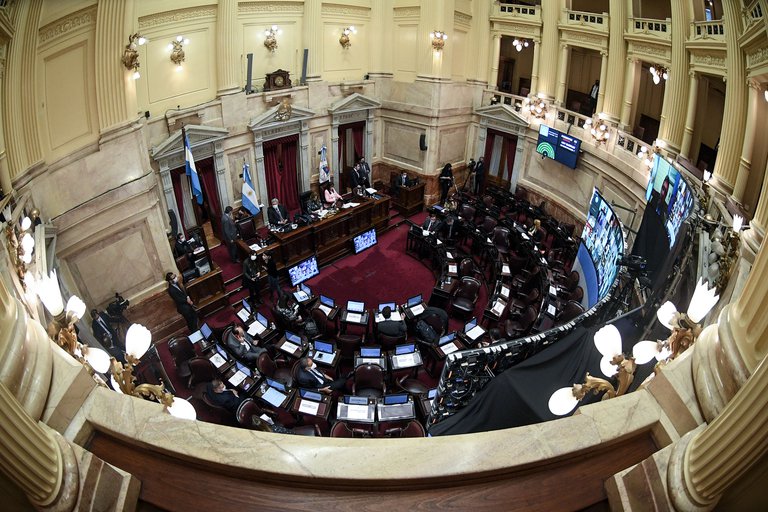 Se aprobó un proyecto que limita a Guzmán a utilizar los fondos del FMI