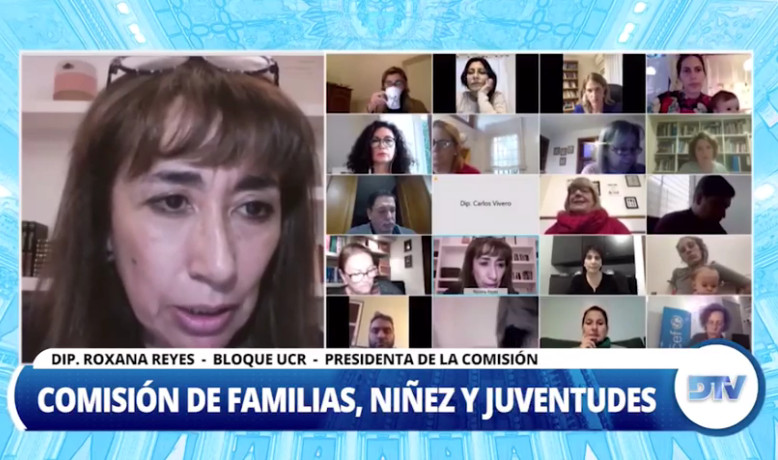 Diputados analizó los desafíos para la niñez en la post pandemia
