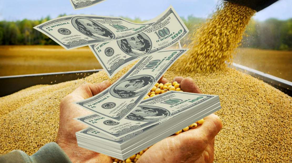 Se agotan los dólares de la cosecha y el Gobierno sale a buscar reservas