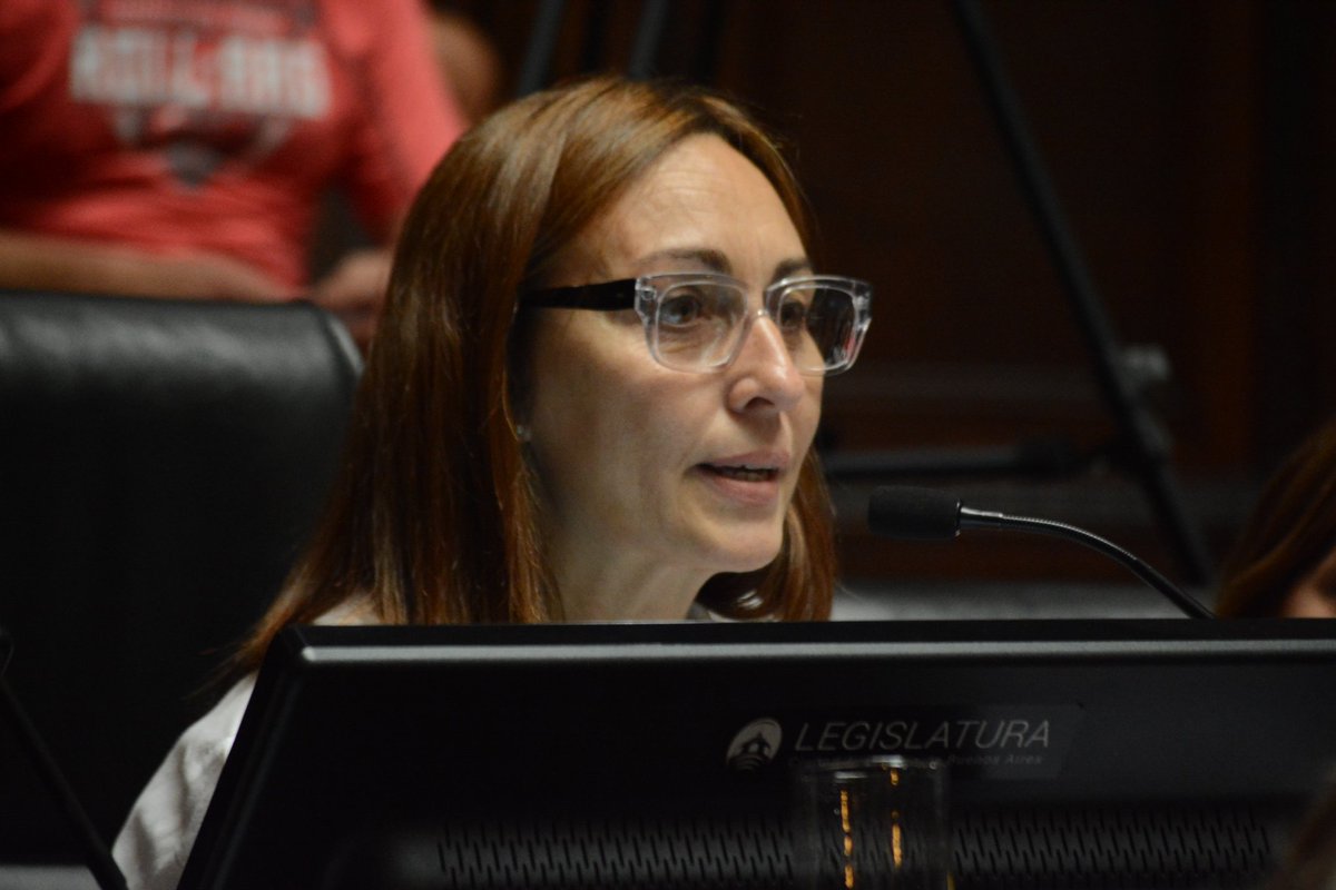 La Legislatura analiza las secuelas del Covid