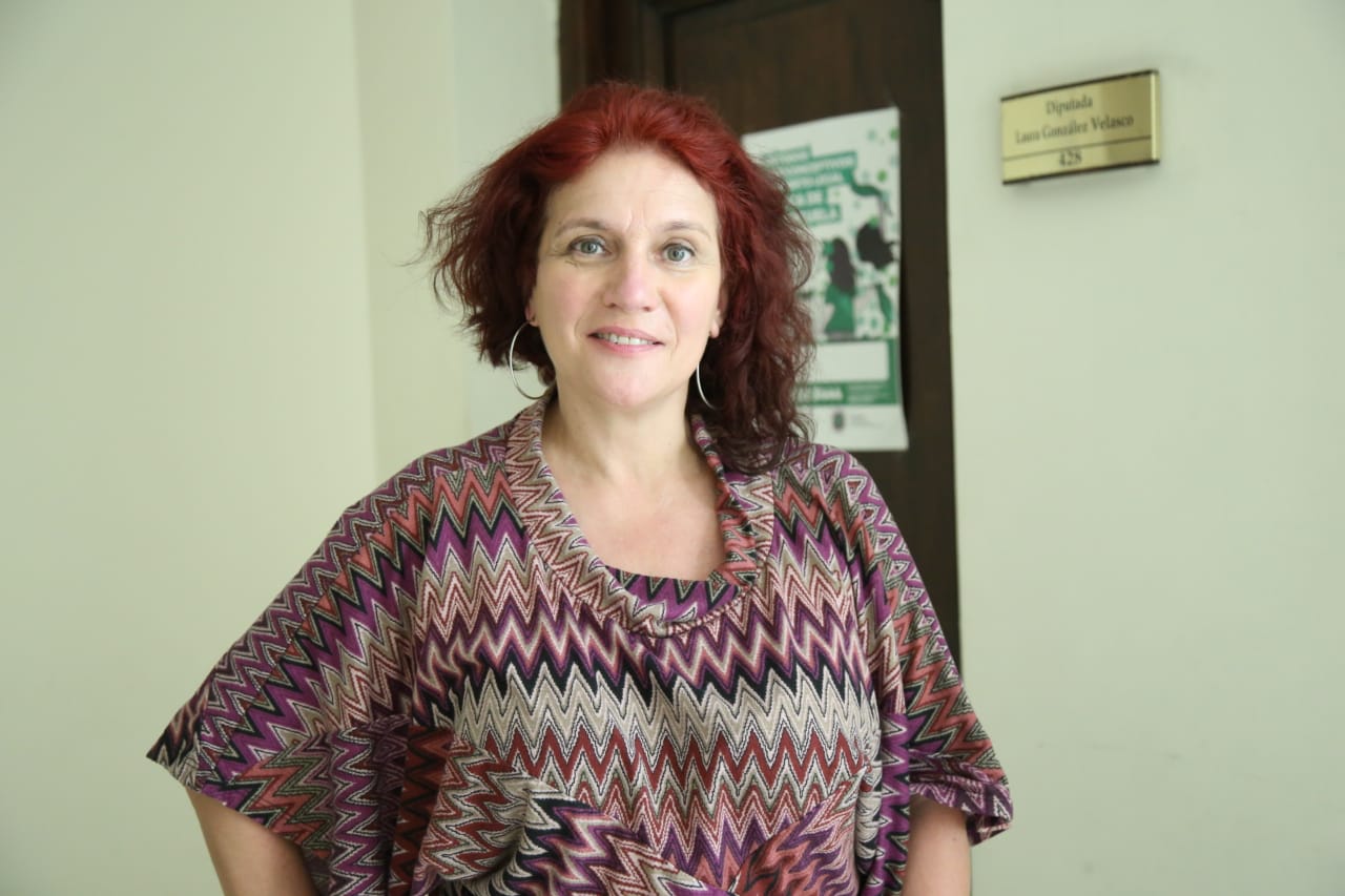 Velasco: “Estas leyes vienen a reparar una desigualdad histórica”