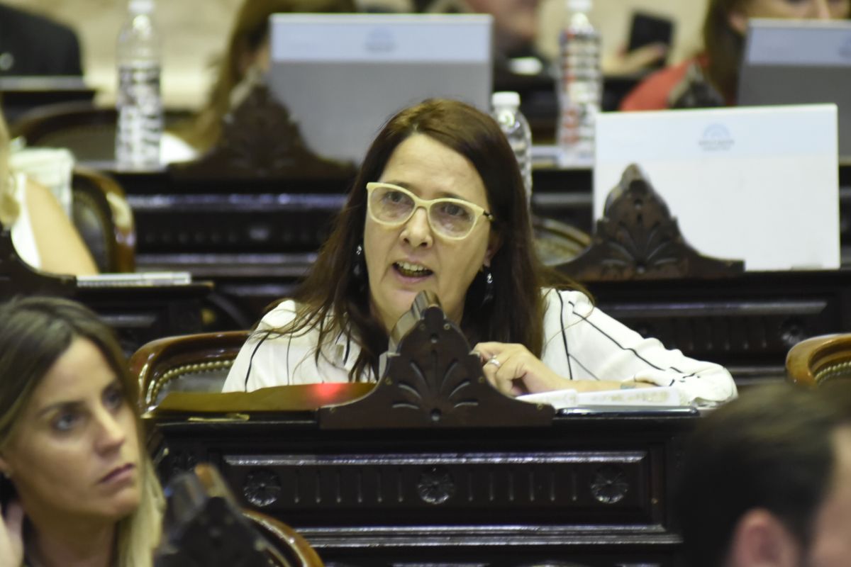 Código Procesal Penal: habrá plazos máximos para que se resuelvan los recursos