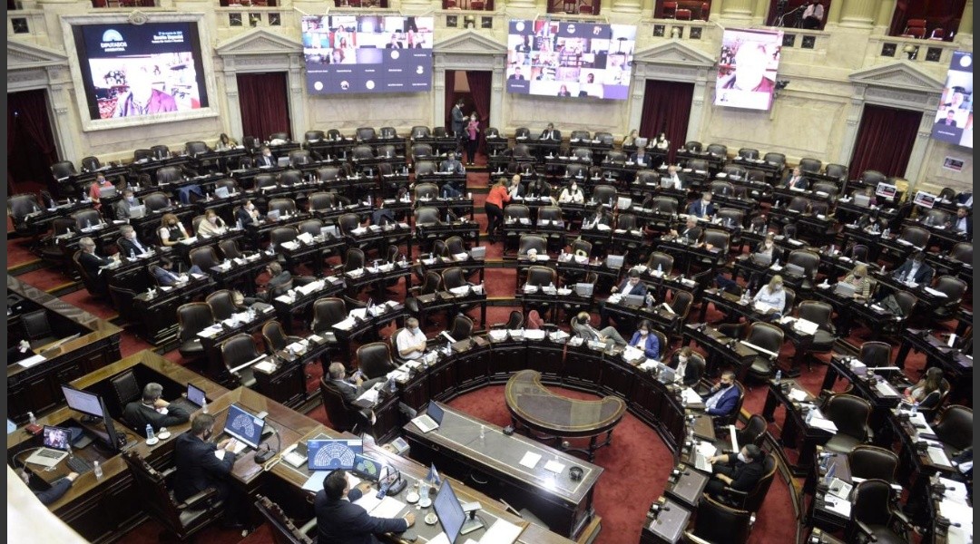 Diputados: avanza el proyecto de ganadería ovina