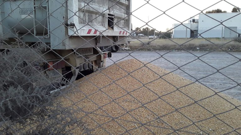 Exportadores le pidieron a Kicillof que intervenga en el bloqueo del Puerto