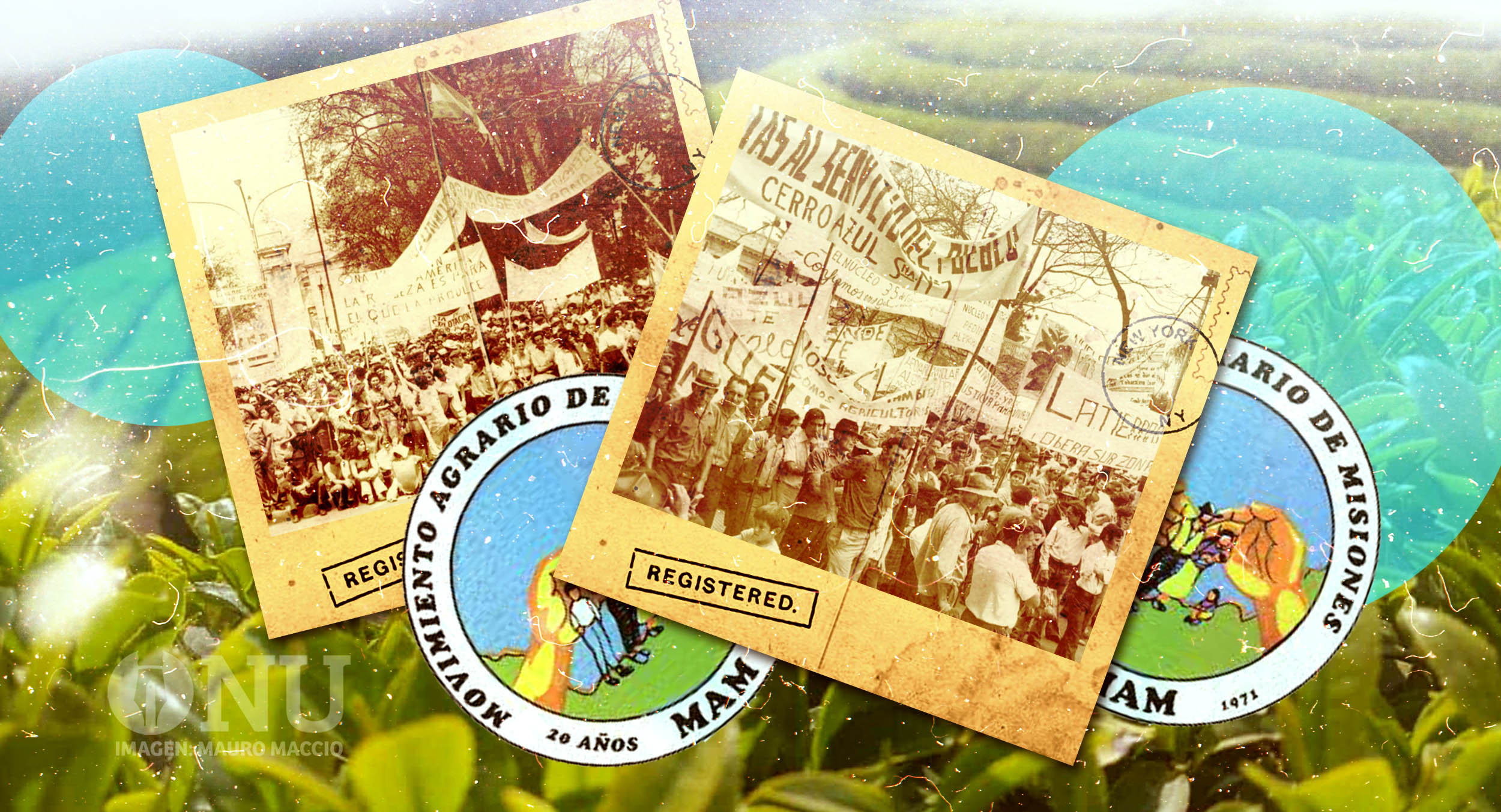 El Movimiento Agrario Misionero: 50 años en el surco