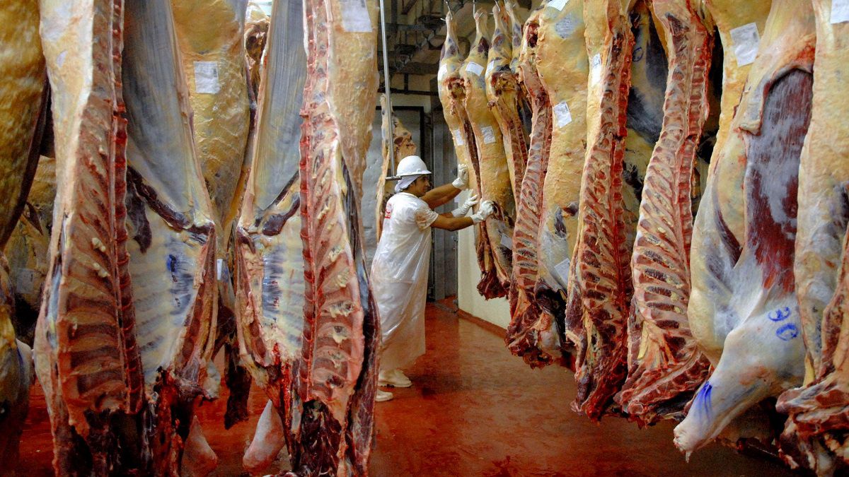 Cepo a la carne: según la Sociedad Rural, Argentina pierde US$ 8 millones al día
