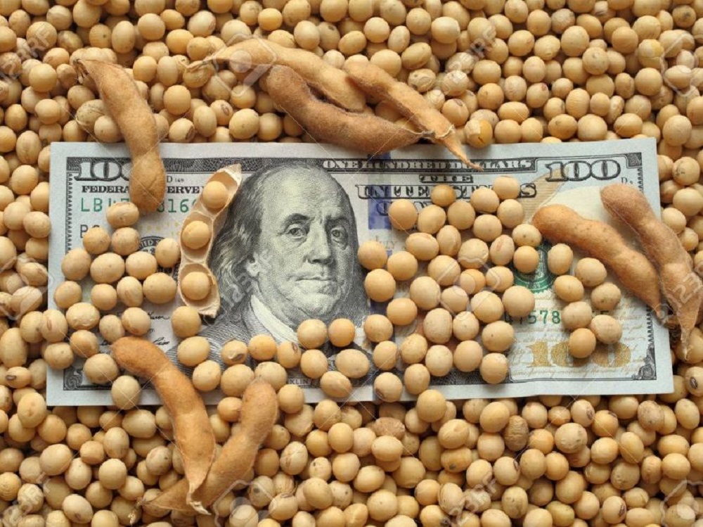 La liquidación de dólares del campo fue récord en agosto