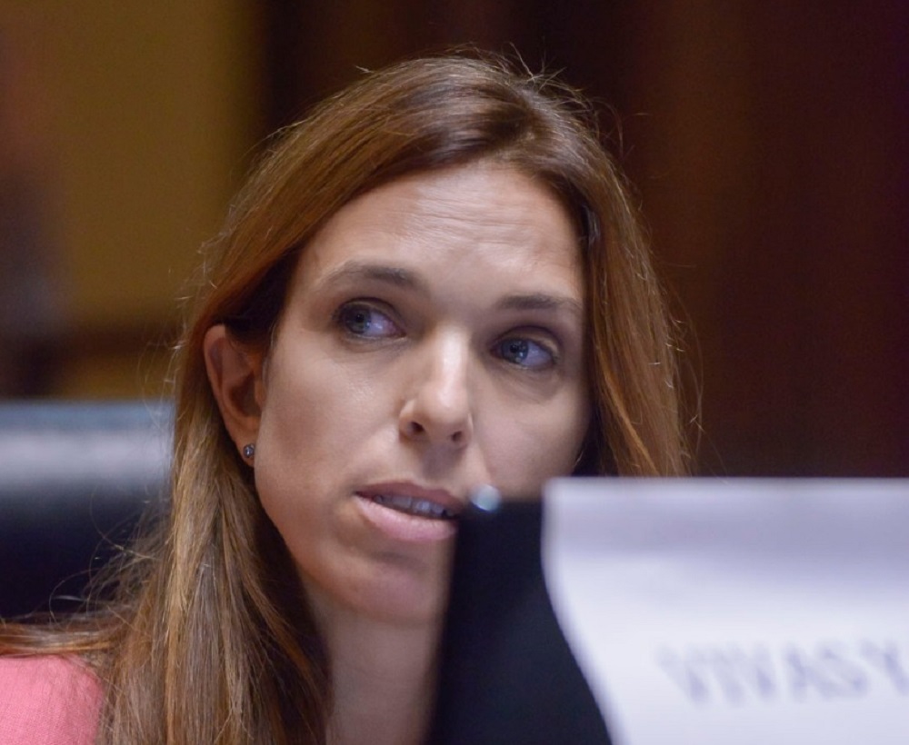 Thourte sobre las elecciones: “El límite es ponerse la peluca”