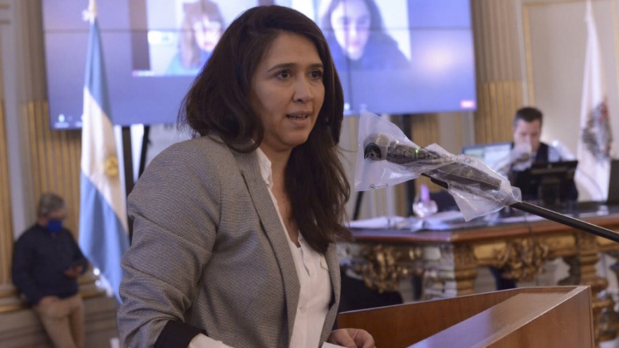 Radio abierta en la Legislatura para pedir la incorporación de la Comisión de Discapacidad