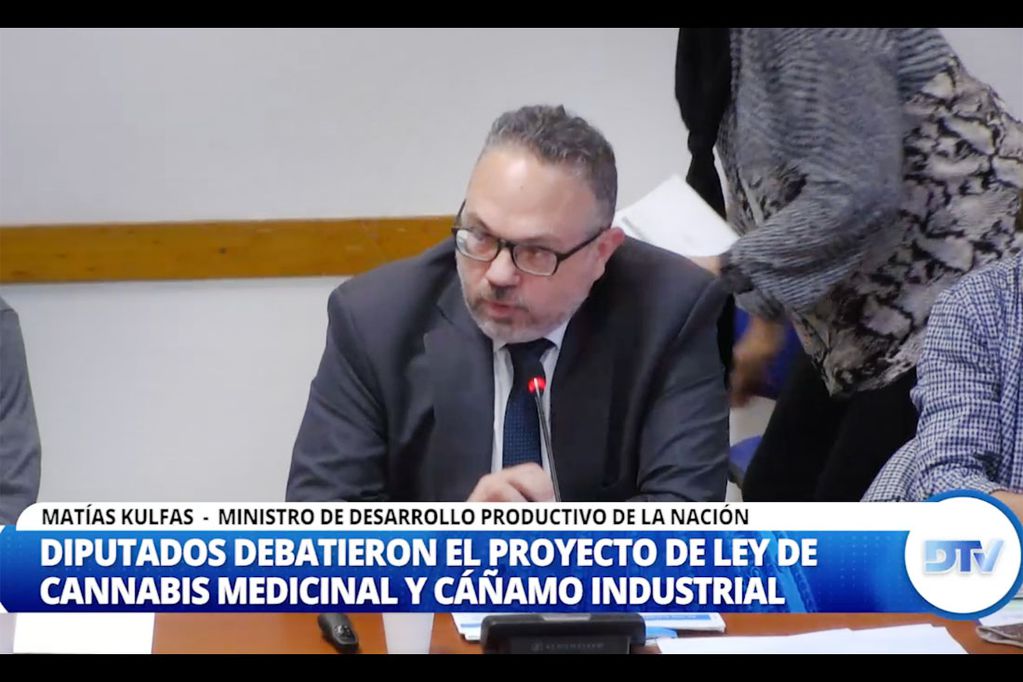 Con la presencia de Kulfas, Diputados avanzó con el proyecto de cannabis medicianal
