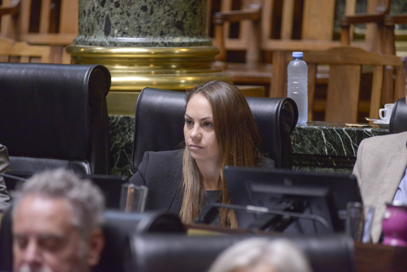 Peña defendió la gestión de Larreta en relación a los espacios públicos