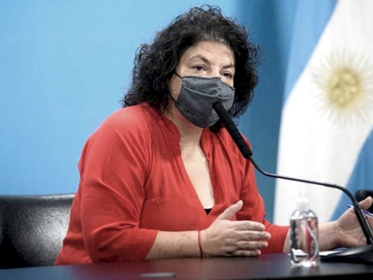 Vizzotti aseguró que las clases comenzarán en marzo y serán presenciales