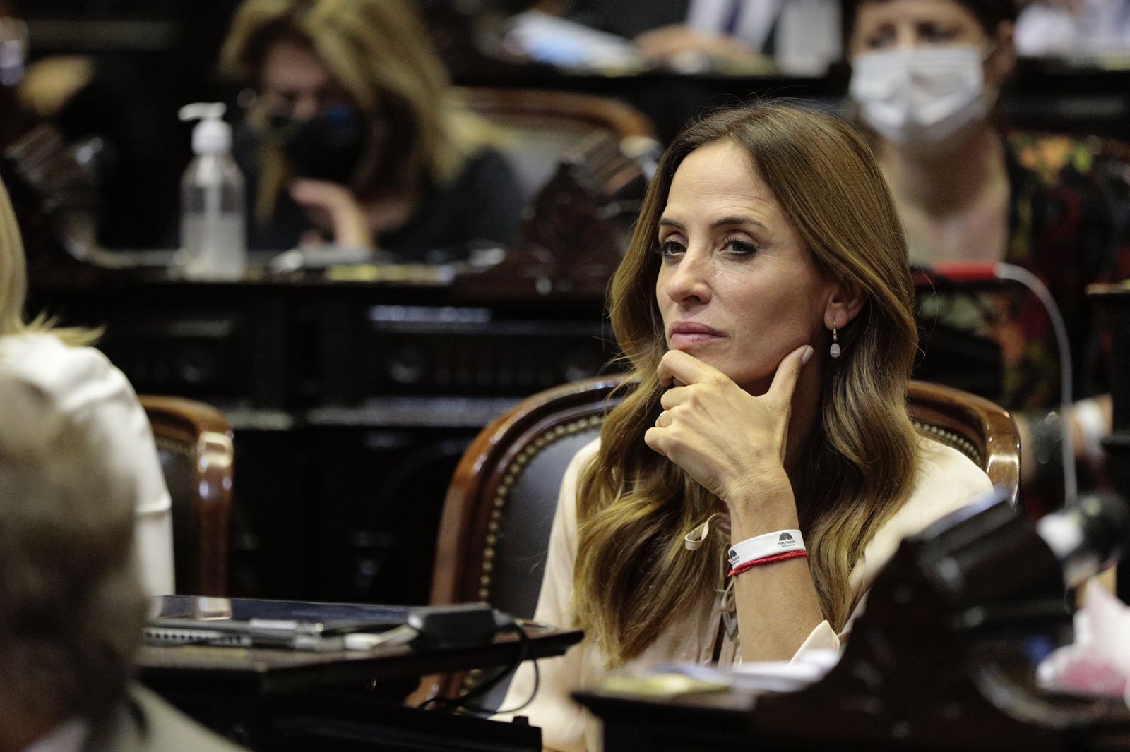 Tolosa Paz: "Garro viene a buscar un negocio inmobiliario"