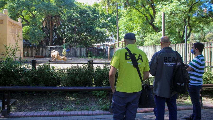 Denuncia: el Ministerio de Ambiente de Cabandié inspeccionó el Ecoparque