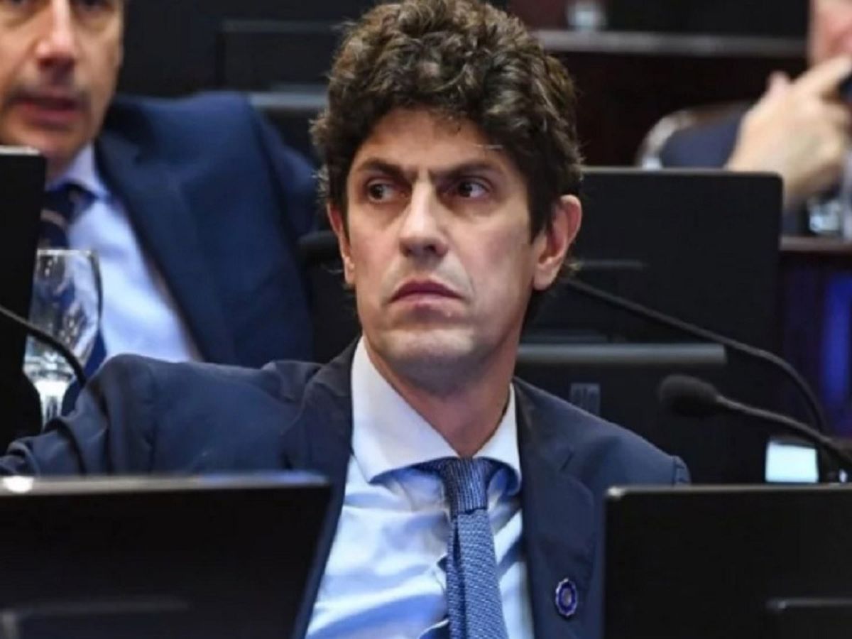 Lousteau: "La UCR tiene que dar una discusión profunda"