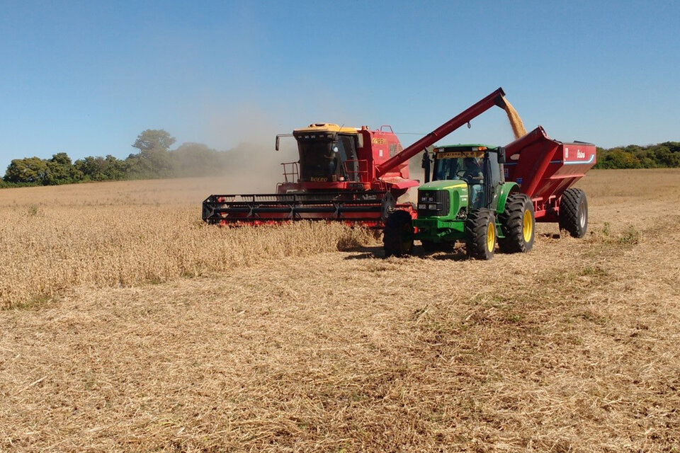 Subió el precio de la soja a USD 600 por el conflicto con Ucrania