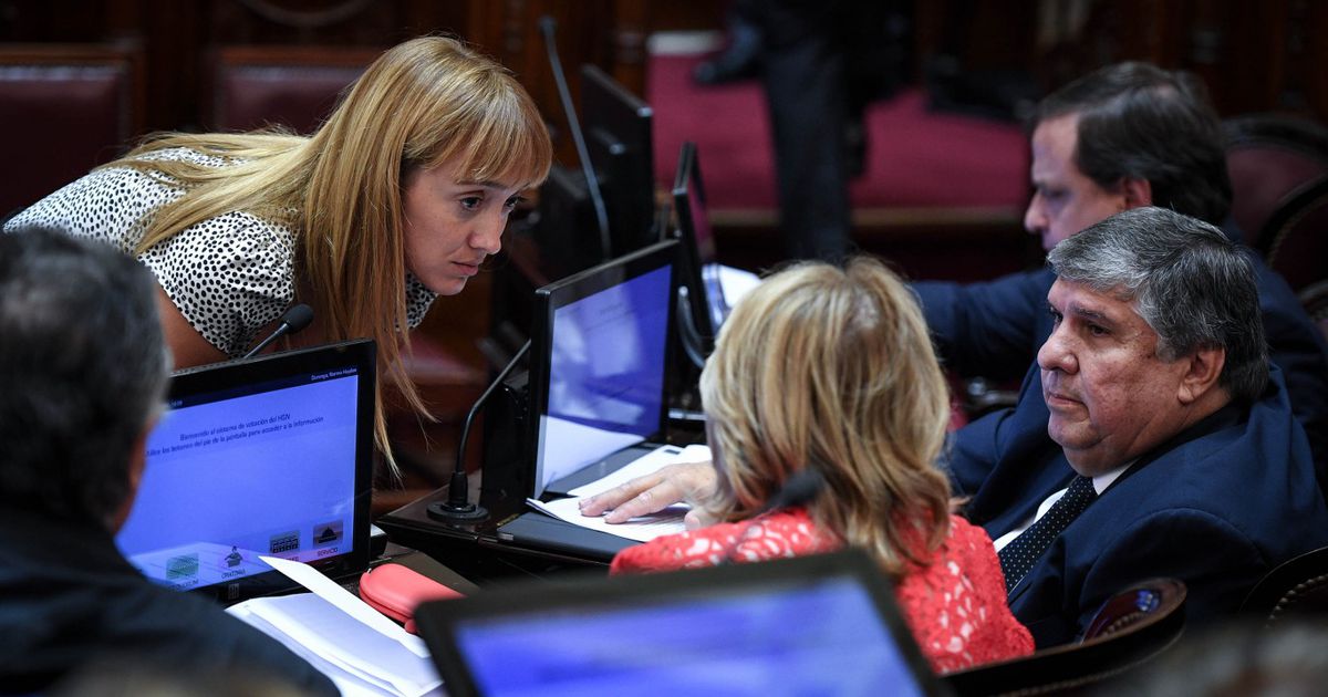 Senado: el FdT sigue sin tomar posición sobre el acuerdo con el Fondo