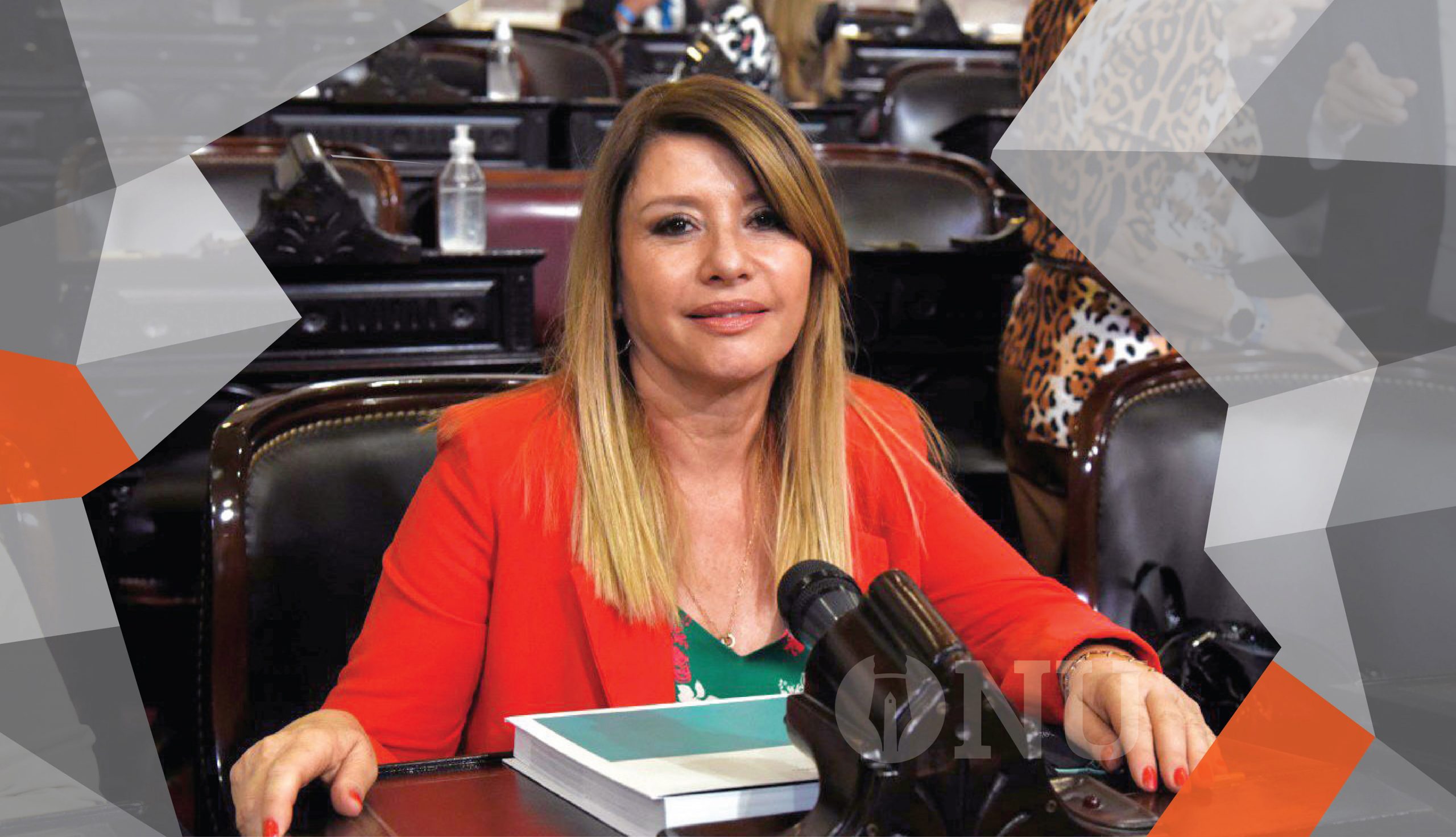 Litza: “El acuerdo con el FMI tiene que significar un puente al crecimiento”