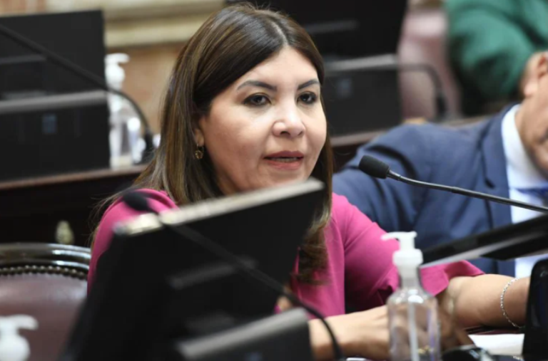 Una Senadora del FdT se volvió viral por decir "espada de domacle"