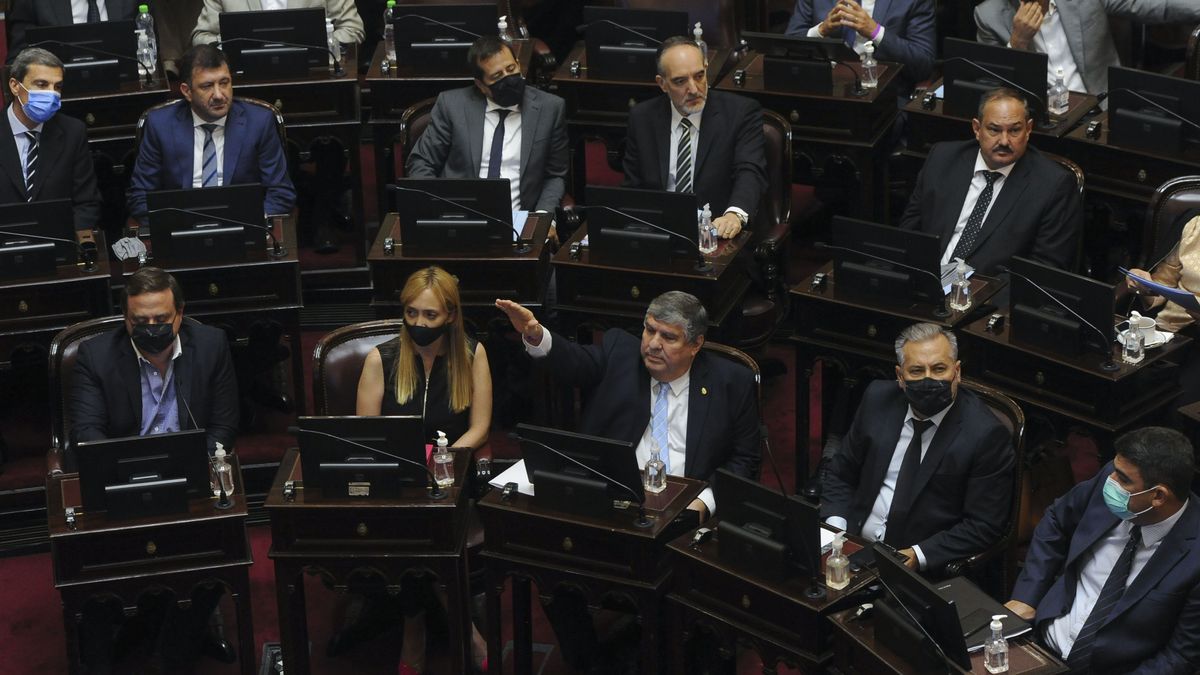 El Gobierno respaldó un proyecto K para pagarle al FMI con dinero "no declarado"