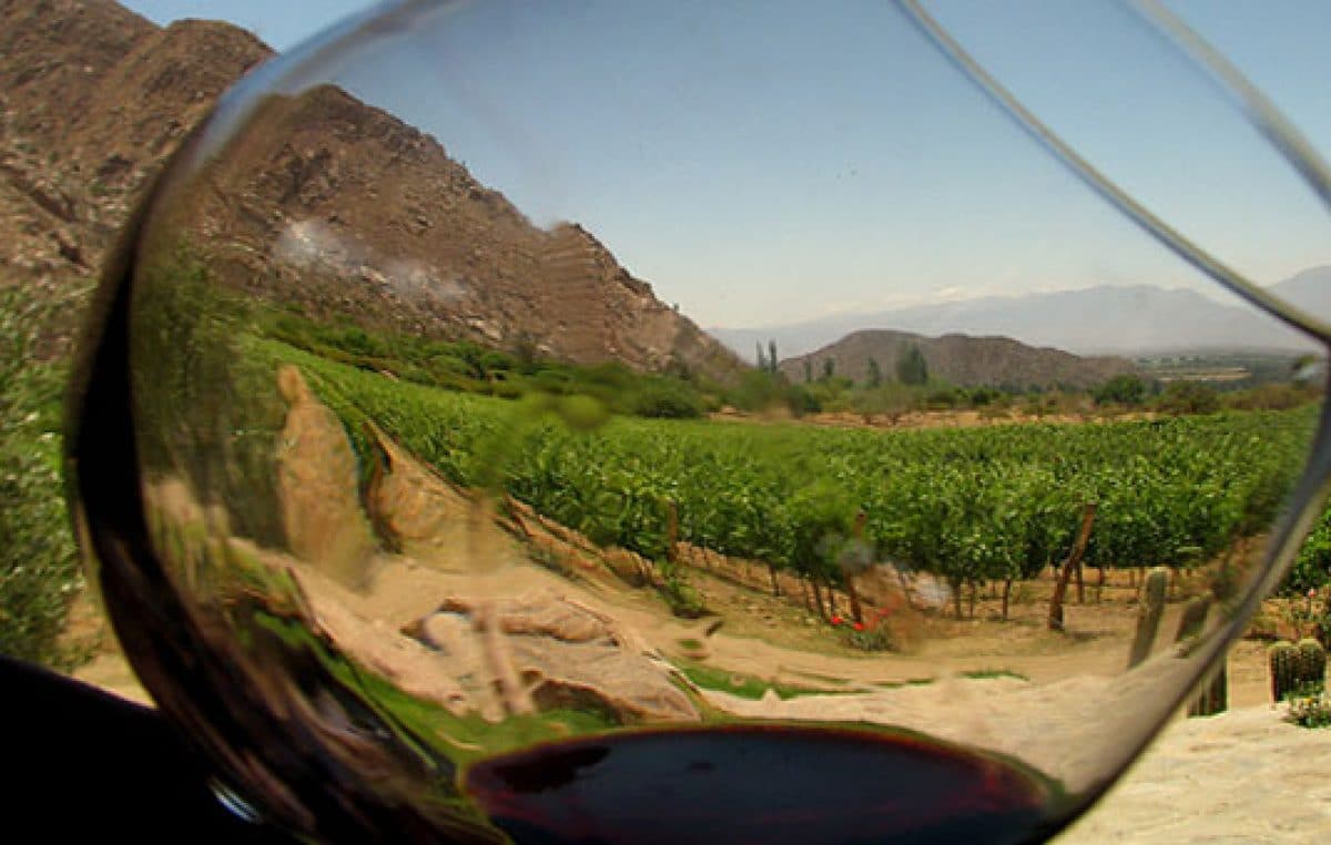 Se viene el primer Encuentro Regional del Turismo del Vino