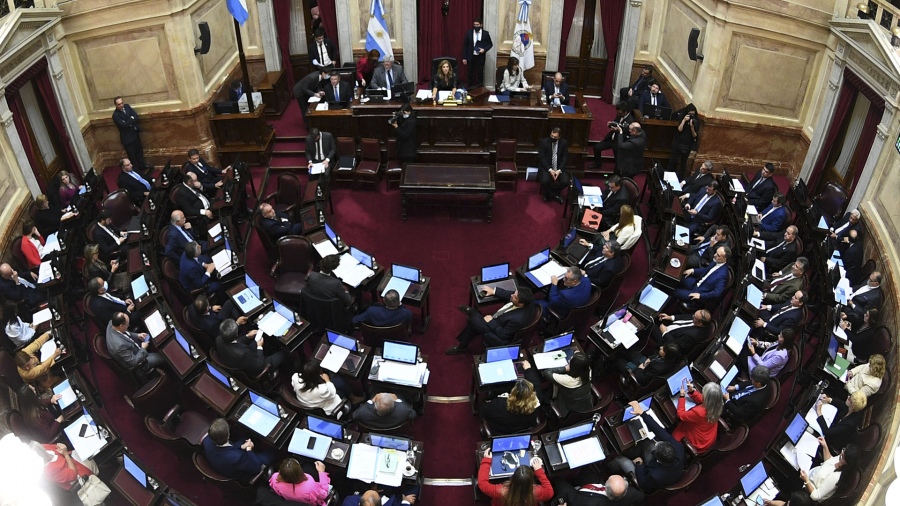 Dos legisladoras se pelearon en el Senado por una banca