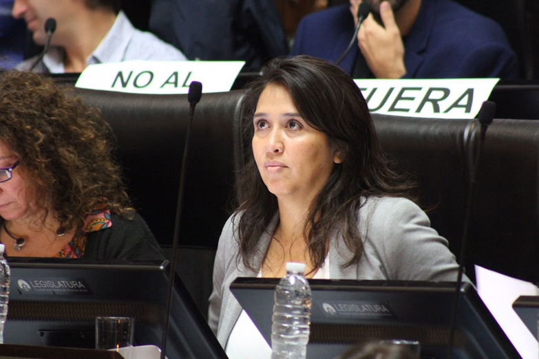 Montenegro: "Es responsabilidad del Estado porteño cuidar a los vecinos"