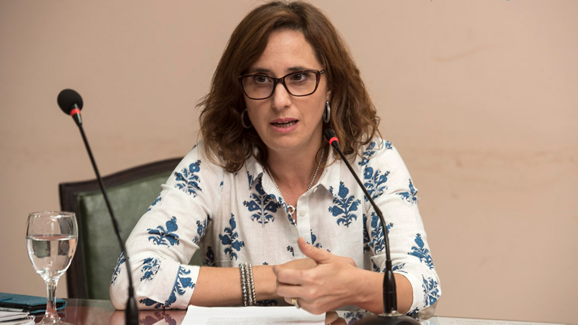 Avión venezolano: la fiscal abrió la investigación y hay secreto de sumario