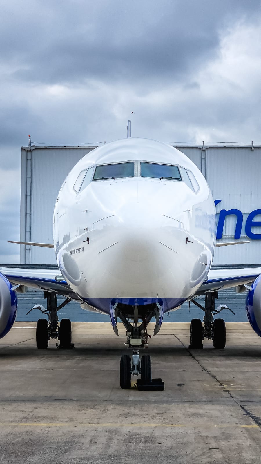 LLegó un nuevo Boeing 737 MAX que se suma a la flota de Aerolíneas