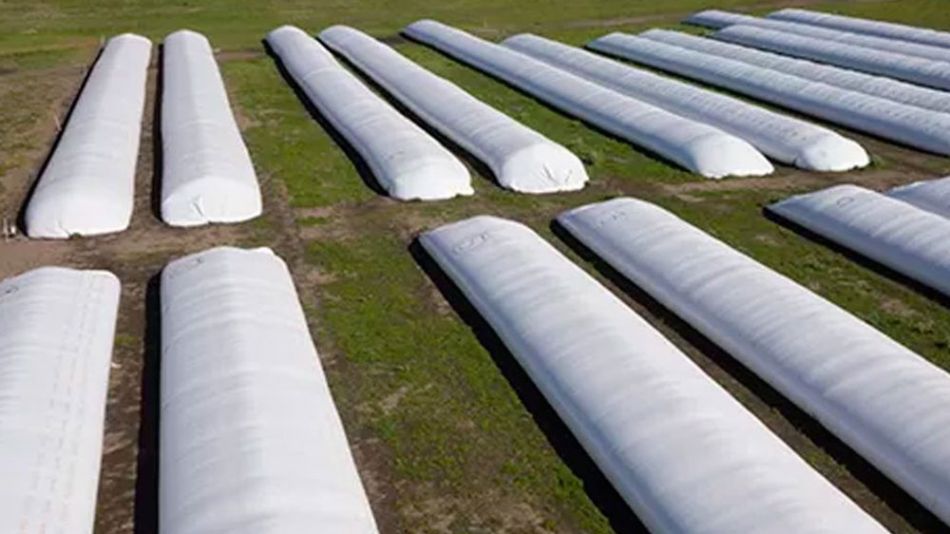 El BCRA creó el "dólar campo" para que los productores liquiden la cosecha