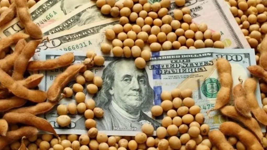 El "dólar soja" derrumbó al blue, achicó la brecha e incrementa reservas