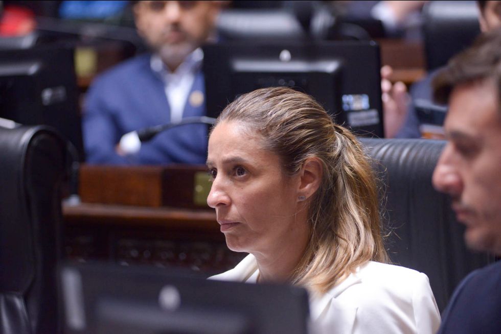 Fuerte crítica de Kienast a la gestión del FdT en Educación