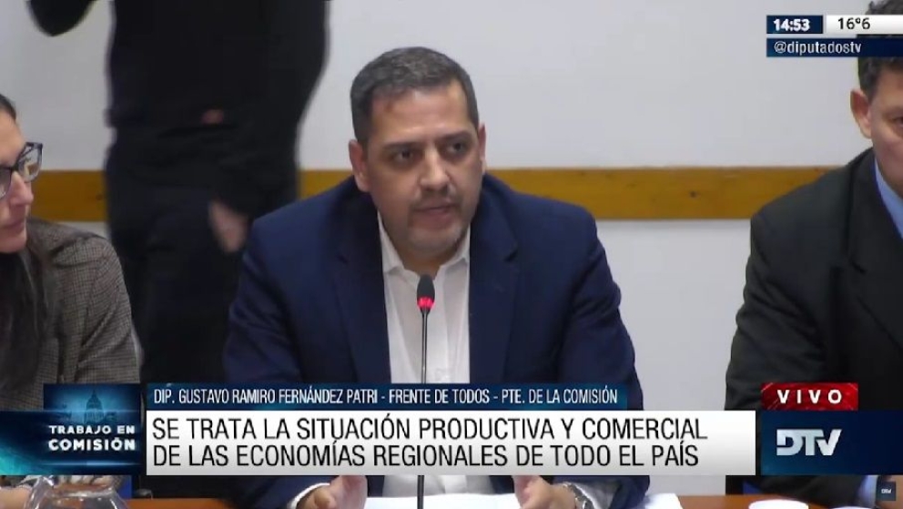 "Economías regionales, estado de situación y potencialidades"