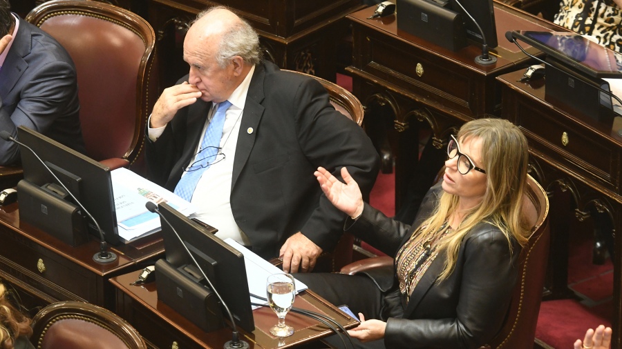 Senado: El FdT le dio media sanción a la ampliación de la Corte